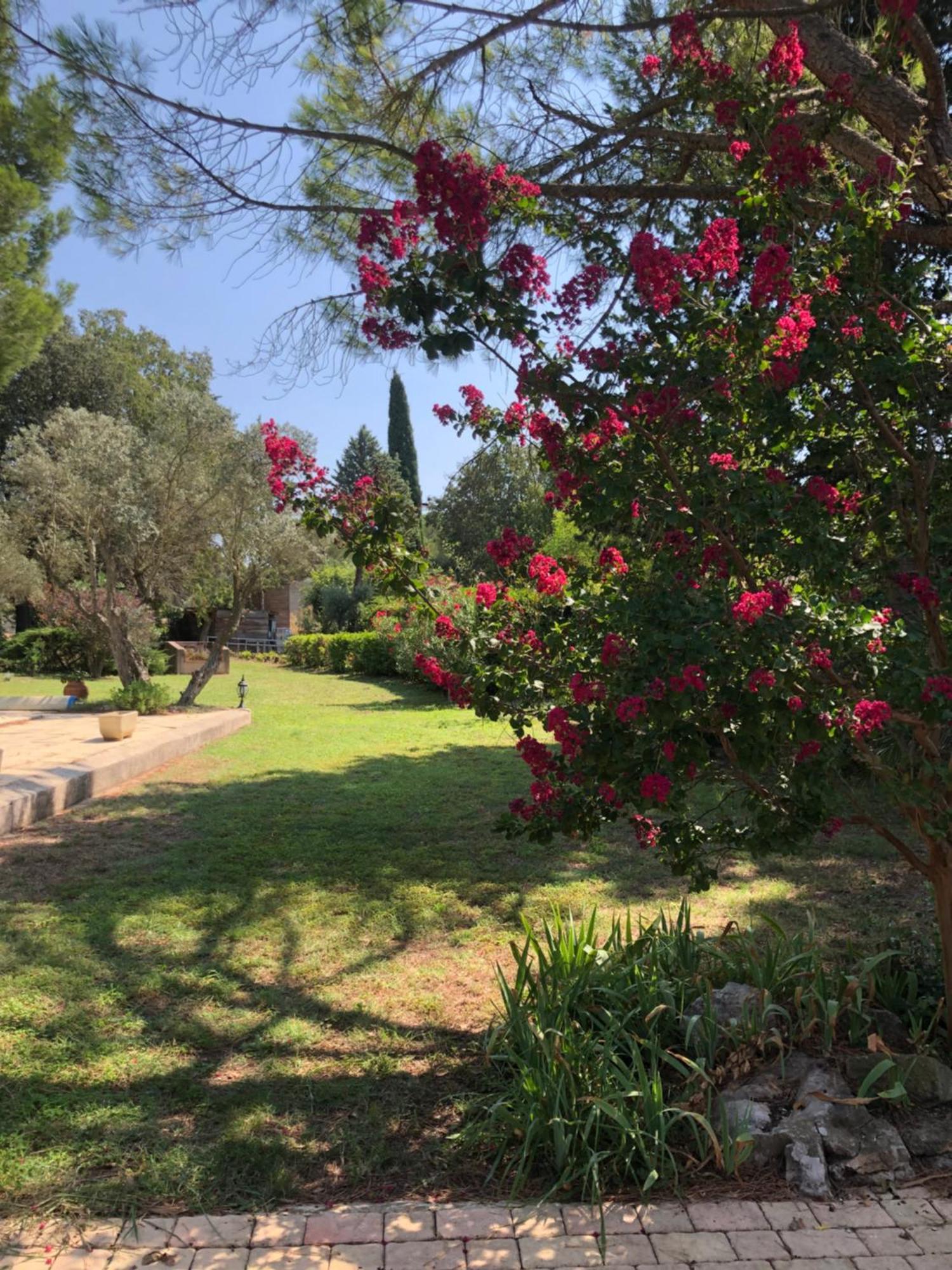 Gite En Provence Dans Grand Jardin Avec Piscine Partagee Cornillon-Confoux Luaran gambar